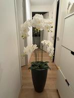 Kunst Orchidee met Pot  - Zo Goed Als Nieuw, Ophalen, Zo goed als nieuw, Binnen