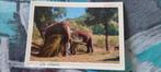kaart uit sri lanka met olifanten erop afgebeeld, Ophalen of Verzenden, 1980 tot heden, Gelopen, Buiten Europa