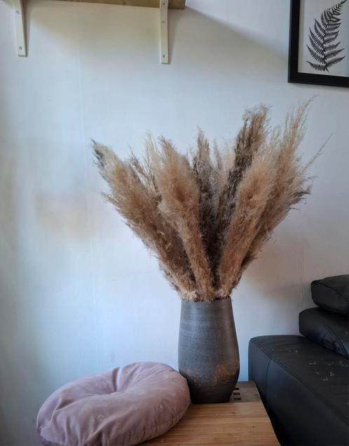 Xxl pampus pluim heb er nog meer vaas mag er ook bij, Huis en Inrichting, Woonaccessoires | Droogbloemen, Nieuw, Ophalen of Verzenden