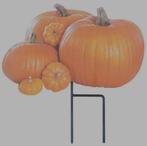 Tuinsteker Pompoenen - Najaarsdecoratie, ., Nieuw, Ophalen of Verzenden, .
