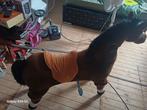 Paard op wieltjes, Kinderen en Baby's, Ophalen, Zo goed als nieuw