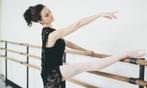 Ballet barre, Ophalen, Nieuw, Overige typen