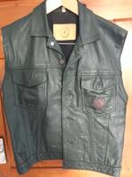 Bodywarmer dames, Kleding | Dames, Bodywarmers, Ophalen of Verzenden, Gedragen, Groen