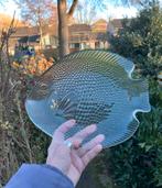 Visschaal KLEIN formaat visschotel 26 x 21 cm, Huis en Inrichting, Keuken | Servies, Ophalen of Verzenden, Overige stijlen, Glas