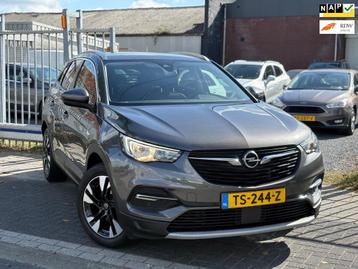 Opel Grandland X 1.2 Turbo Business Executive | Apple CarPla beschikbaar voor biedingen