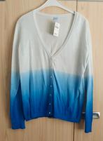 Nieuw vest, maat L, M&S, Blauw, Maat 42/44 (L), Nieuw, Ophalen of Verzenden