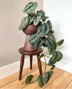 Vintage krukje, Ophalen of Verzenden, Hout