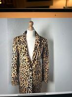 GEZOCHT King louie panter jas S, Kleding | Dames, Ophalen of Verzenden, Zo goed als nieuw