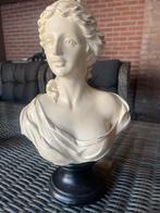 Borstbeeld 40 cm hoog 27 breed, Ophalen of Verzenden, Gebruikt