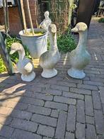 Betonnen ganzen, Tuin en Terras, Tuinbeelden, Ophalen