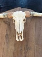 Mooie echte longhorn, Ophalen, Zo goed als nieuw