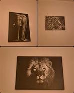 dieren schilderijen, Huis en Inrichting, Minder dan 50 cm, Ophalen of Verzenden, Zo goed als nieuw, Schilderij