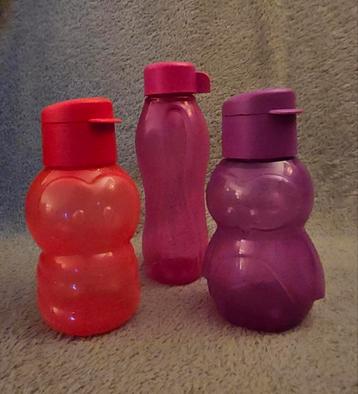 3 tupperware ecoflesjes beschikbaar voor biedingen
