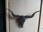 nieuwe bull skull / schedel vooor aan de muur, Ophalen of Verzenden, Nieuw