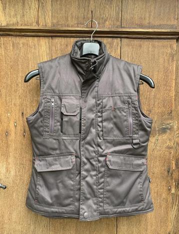 Nieuwe Free2.Be Bodywarmer Maat 38 - Paardrijden/Buitensport beschikbaar voor biedingen