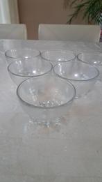 ijsscope 6x, Huis en Inrichting, Glas of Glazen, Ophalen of Verzenden, Overige stijlen, Glas