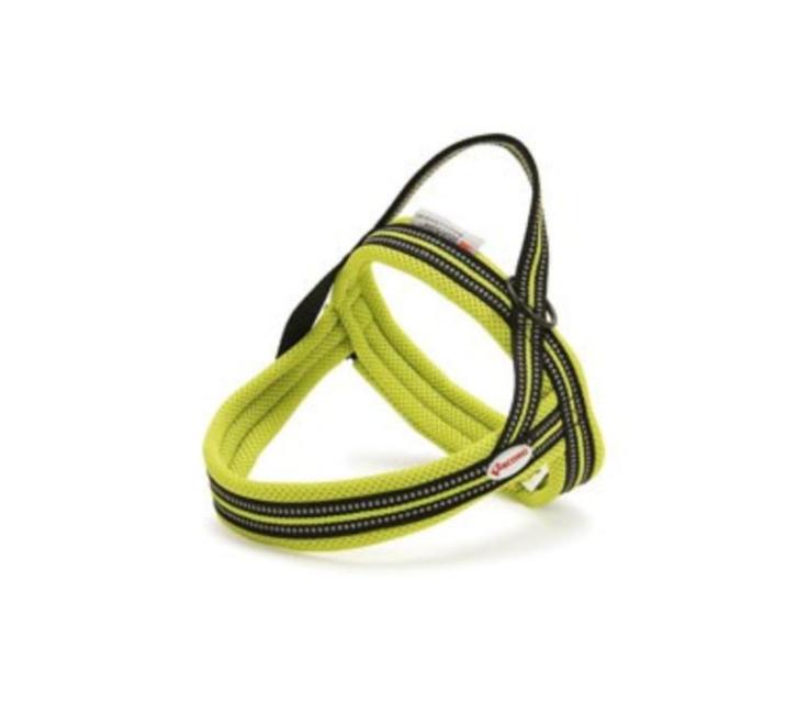 RECORD Dolomiti Action Harnas Geel XS Borst 48-56 cm KOOPJE!, Dieren en Toebehoren, Honden-accessoires, Nieuw, Ophalen of Verzenden