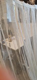 Witte Vitrage Gordijnen - 150x238cm (2 stuks), Gebruikt, 100 tot 150 cm, 200 cm of meer, Wit