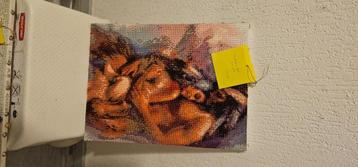Diamond paintings  beschikbaar voor biedingen