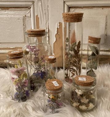 Nieuw / Droogbloemen in glas / in glazen flesjes en buisjes beschikbaar voor biedingen