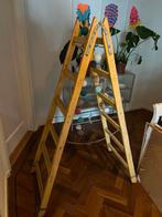 Trapladder, Doe-het-zelf en Verbouw, Ladders en Trappen, Ladder, Gebruikt, Ophalen