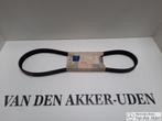 Mercedes Benz V-Riem A6019970592, Nieuw, Verzenden