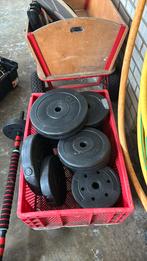 Gewichtend totaal 43.5 kg, Sport en Fitness, Ophalen, Zo goed als nieuw, Dumbbell