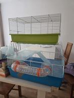2 Hamsterkooien met benodigdheden, Dieren en Toebehoren, Knaagdieren en Konijnen | Hokken en Kooien, Minder dan 60 cm, Kooi, Gebruikt