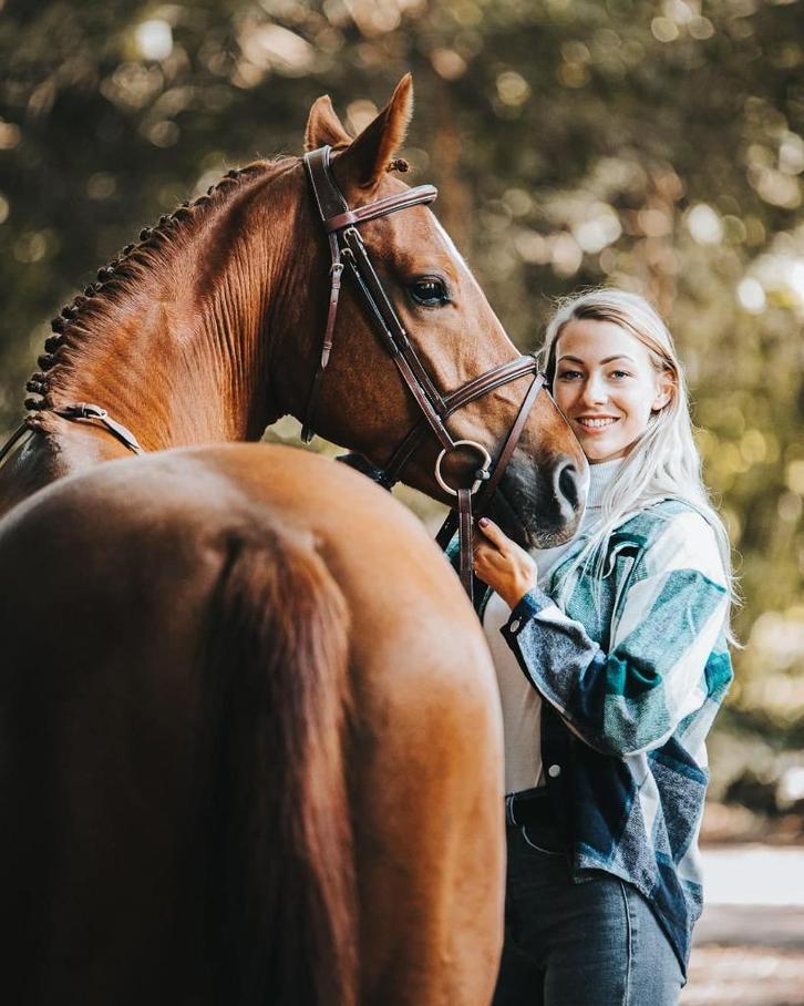 Weidegang gezocht., Dieren en Toebehoren, Stalling en Weidegang, Weidegang