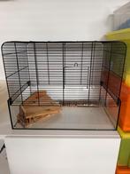 Hamsterkooi inclusief accesoires, Dieren en Toebehoren, Kooi, Gebruikt, Minder dan 75 cm, Hamster