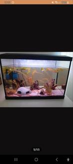 Aquarium+bijnodigdheden, Ophalen, Zo goed als nieuw, Overige typen