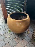 Capi Europe plantenpot goud 47cm diameter, Tuin en Terras, Bloembakken en Plantenbakken, Ophalen, Overige materialen, Binnen, Minder dan 60 cm