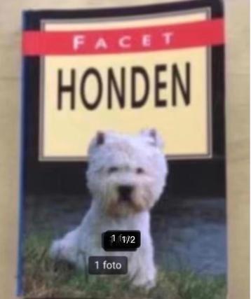 Facet honden door Wendy Boorer beschikbaar voor biedingen