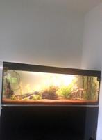 Aquarium Frager, Ophalen, Zo goed als nieuw