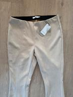 Costes Beige Suède Flare Broek XXL nieuw, Ophalen of Verzenden, Nieuw, Beige, Lang