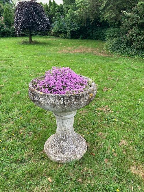 Karaktervolle Jardinière op Pedestal – Antiek/Vintage – 80 c, Tuin en Terras, Tuinvazen, Gebruikt, Ophalen