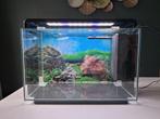 Supervis home 65 aqauruim, Dieren en Toebehoren, Vissen | Aquaria en Toebehoren, Ophalen, Gebruikt, Leeg aquarium