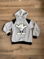 Sweater Disney uit Disneyland Parijs, Disney, Trui of Vest, Ophalen of Verzenden, Zo goed als nieuw