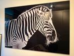 Glas schilderij zebra, Antiek en Kunst, Kunst | Schilderijen | Modern, Ophalen