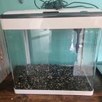 Aquarium Panorama 50 led, Dieren en Toebehoren, Ophalen, Gebruikt, Leeg aquarium
