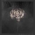 Editors - The Weight Of Your Love (Deluxe Edition) Nieuw, Ophalen of Verzenden, 2000 tot heden, Nieuw in verpakking