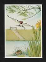 Boerenzwaluw Waterrat Sloot Gele Lis, Henk v.d. Vrande., Ophalen of Verzenden, 1980 tot heden, Ongelopen, Vogel