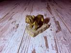 Engelse Bulldog Brons Beeldje, Antiek en Kunst, Kunst | Beelden en Houtsnijwerken, Ophalen of Verzenden