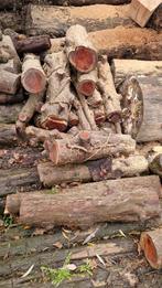 Taxushout, Ophalen, Minder dan 25 mm, Plank, Minder dan 200 cm