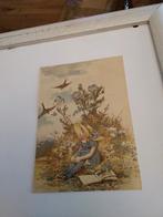 MEISJE. MET. BOEK. BIJ VOGELS, Ophalen of Verzenden, Voor 1920, Kinderen