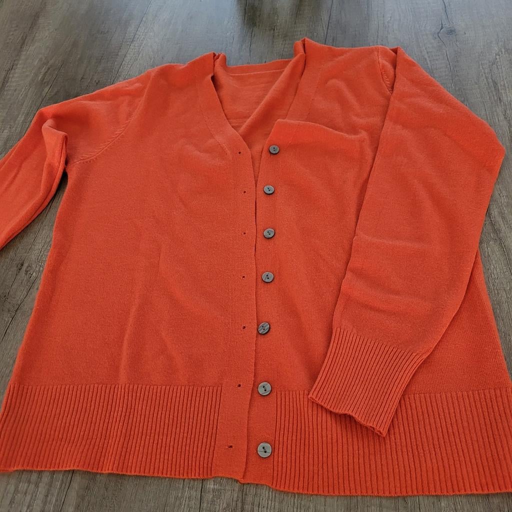 Oranje vest maat S, Ophalen of Verzenden, Nieuw, Maat 36 (S), Oranje