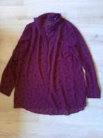 paarse blouse doorzichtige stippen 42 44, Ophalen of Verzenden, Zo goed als nieuw, Maat 42/44 (L), Paars