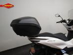 Honda PCX 125 ABS (bj 2025), Scooter, Doornveld 180-184
B-1731  ZELLIK, BE, Honda Motor Europe Ltd, Belgian Branche, Bedrijf