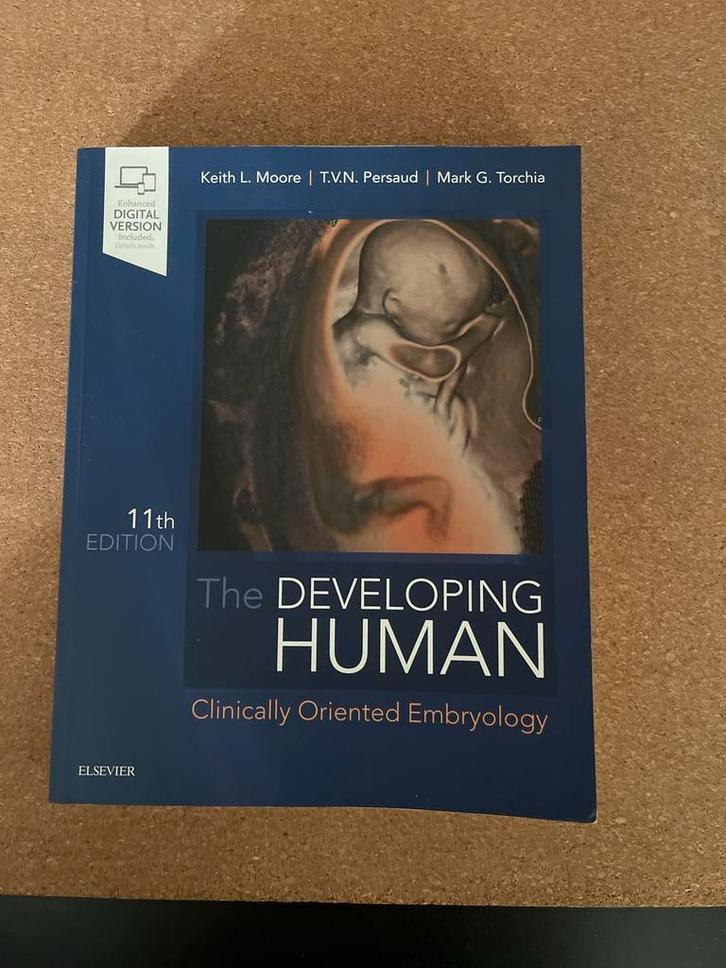 The Developing Human: Clinically Oriented Embryology 11e, Boeken, Studieboeken en Cursussen, Zo goed als nieuw, WO, Beta, Ophalen of Verzenden