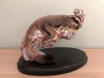 Opgezette Suikereekhoorn / Sugar Glider Taxidermie, Ophalen of Verzenden, Opgezet dier